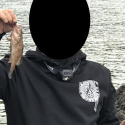 雨の後のエギング、秋のアオリイカゲット